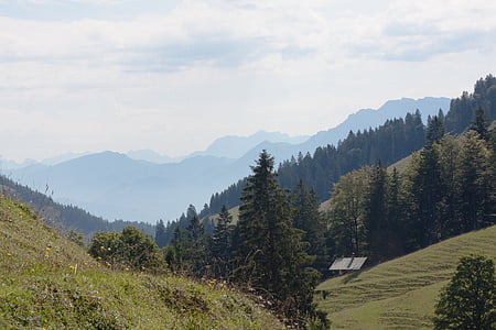 kalnai, Alpių, Aukštutinė Bavarija, Sudelfeld, Alm, ganyklos, Hochalm