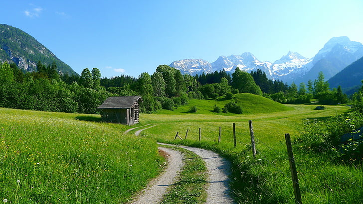 kalnai, kraštovaizdžio, Gamta, Alpių pievos žydi