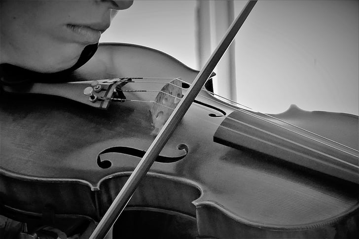 violina, glazba, instrumenta, klasični, niz, drvo, Gudački instrument