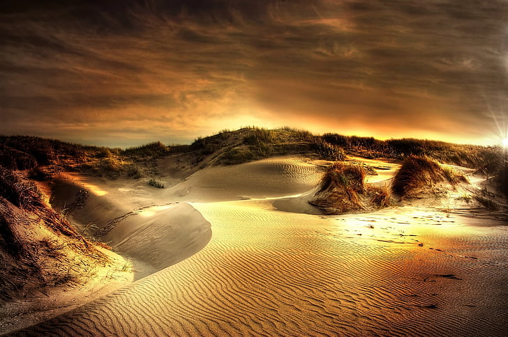 duny, Já?, Severní moře, pláž, písek, Dánsko, léto