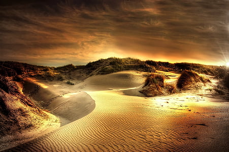 sanddynene, sjøen, Nordsjøen, stranden, sand, Danmark, Sommer