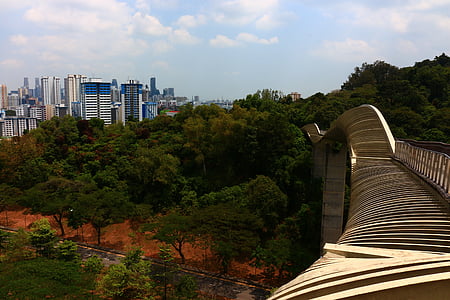 Singapore, City, Bridge, træ, det sydlige ridges, Asien, arkitektur