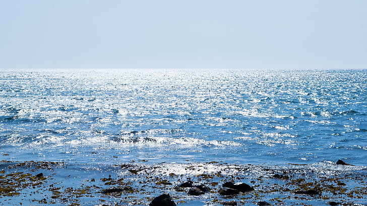 mar, luz do sol, Seascape, Verão, azul, sem pessoas, Horizonte sobre a água