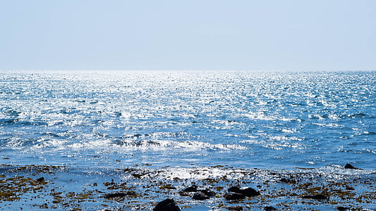 laut, sinar matahari, pemandangan laut, musim panas, biru, tidak ada orang, Horizon atas air
