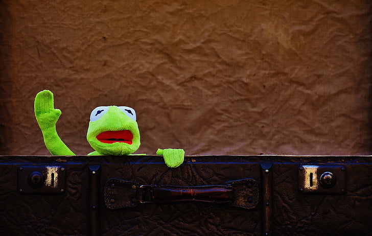Kermit, comiat, valent, nens, divertit, dolç, equipatge
