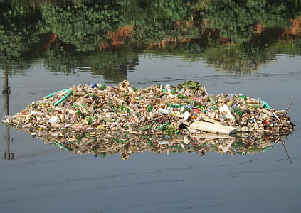 poubelle, pins de rivière, décombres, pollution, bouteille d’animal familier, réseau d’égouts, São paulo