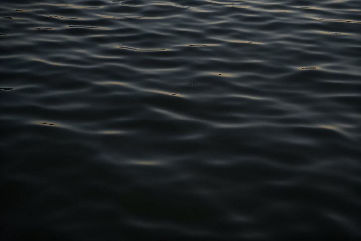closeup, foto, corpo, água, oceano, mar, preto e branco