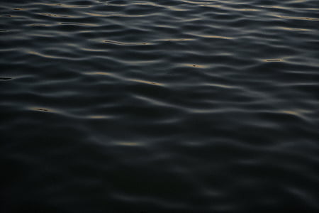 Closeup, Foto, tělo, voda, oceán, Já?, černá a bílá