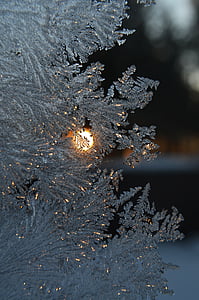 Frost, pencere, Kış, kar, soğuk, Beyaz, karlı