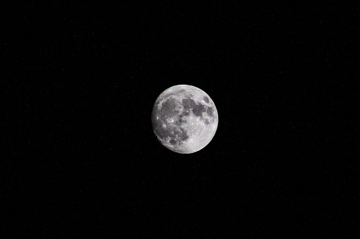 Foto, plná, měsíc, obloha, noční, planeta, astronomie