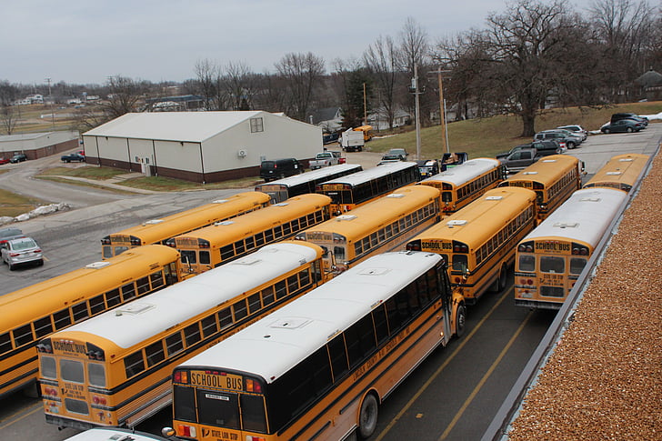 โรงเรียน, รถบัส, รถโรงเรียน, การศึกษา, การขนส่ง, สีเหลือง, ขนส่ง