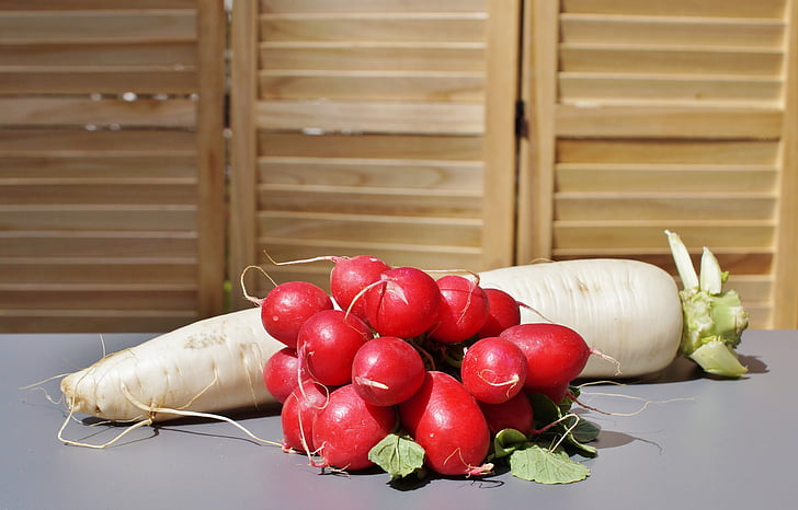 radis, radis, légumes, alimentaire, en bonne santé, vitamines, nutrition