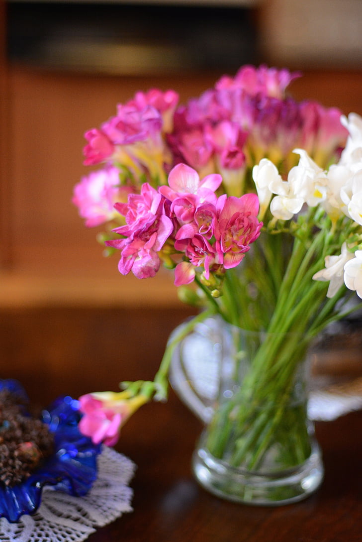 ดอกไม้, รายละเอียด, ช่อดอกไม้, ตุรกี, อิสตันบูล, แมโคร, สีชมพู