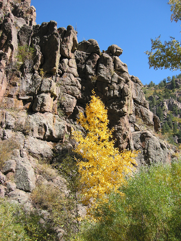 Aspen, Canyon, steiner, gul, stien, ryggsekk, trær