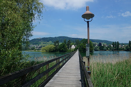 híd, Ferences, sziget, Rajna, tó, természet, fa
