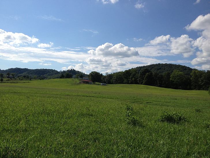 válcování polí, Tennessee, zelené údolí, pole, zemědělství, krajina, Příroda
