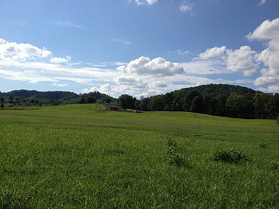 hügelige Felder, Tennessee, grünen Tal, Feld, Landwirtschaft, Landschaft, Natur