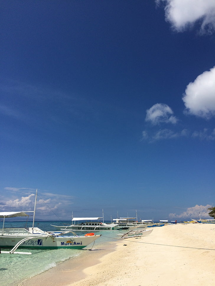 Filipinas, barco de caranguejo, casa barry island, mergulho livre, praia, tropical, mar