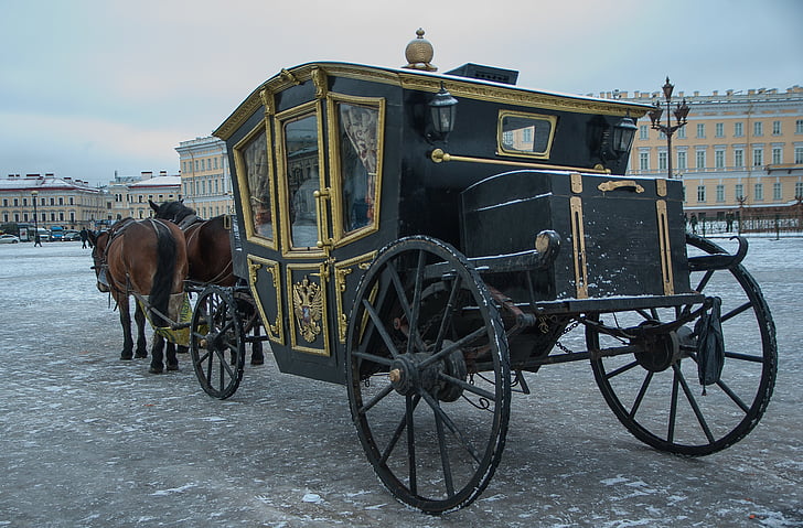 russia, saint-petersburg, palace square, coach, hitch, working animal, transportation