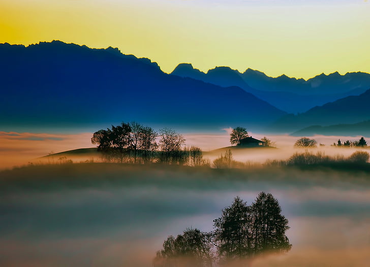 lever du soleil, brouillard, silhouettes, montagnes, arbres, aube, matin