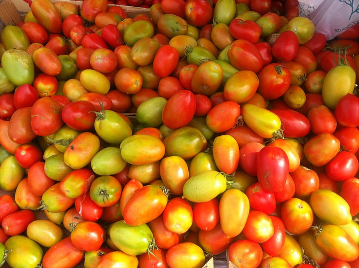 tomater, gul, rød, mat, friskhet, frukt, vegetabilsk