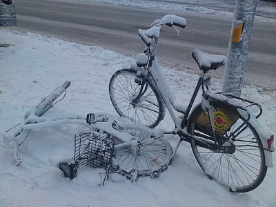 xe đạp, tuyết rơi, Münster, tuyết, mùa đông, trắng, tuyết kỳ diệu