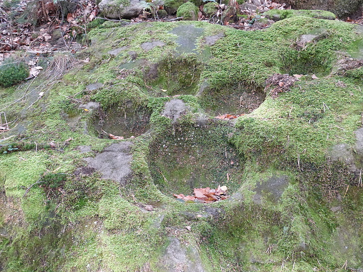 stone, ice age, foundling, green, moss, forest