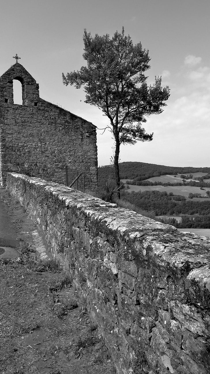 kerk, boom, pad, Horizon, Puycelsi, Frankrijk, zwart-wit