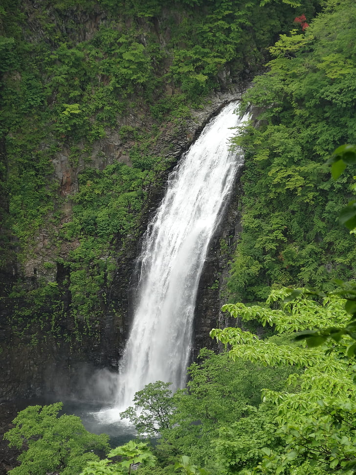 cascada, natural, agua, Japón, agua natural