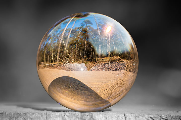 üveg ball, fatönkön, erdő, napsütés, napos, fotó gömb, Globe kép