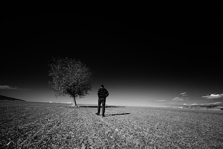 krajine, samoto, človek, drevo, obris, narave, črno-belo