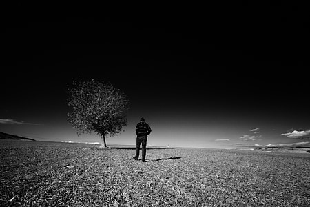 paisaje, Soledad, hombre, árbol, silueta, naturaleza, blanco y negro