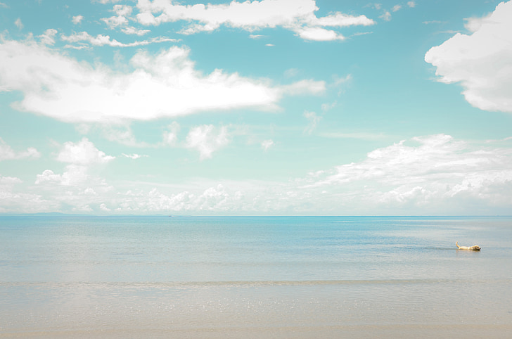 mar, céu, cão, praia, paisagem, ao ar livre, Horizon