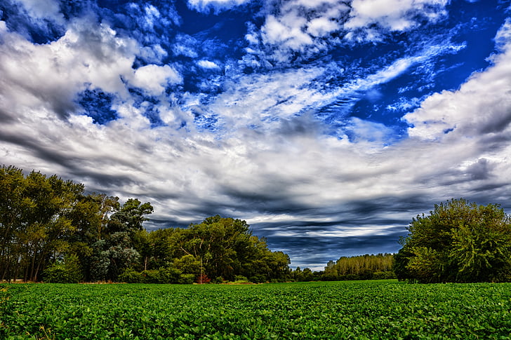 landskapet, planting, skyer, feltet, Cloud - sky, himmelen, landbruk