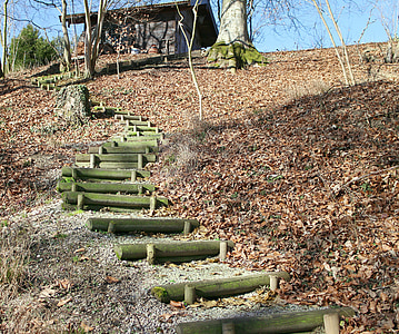 nature, suite, peu à peu, émergence, escaliers en bois