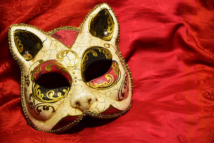 maska, mačka, Karneval, boja, mačka maska, ličinka, mačke ličinke