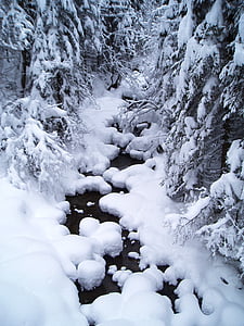 nieve, de Bach, agua que corre, invernal, naturaleza, Blanco, cubierto de nieve