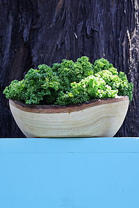 kale, vegetable, bowl, green, nature, healthy, colorful