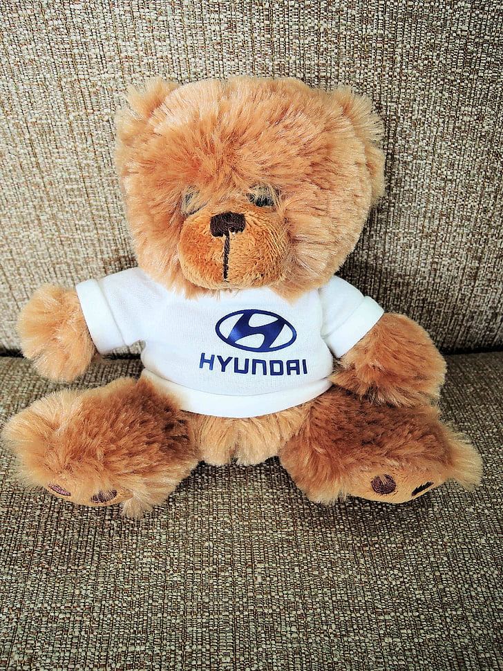 hyundai teddy bear, soft, cuddly, toy, child
