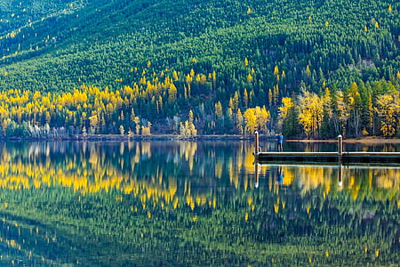 Lac mcdonald, Parc national des glaciers, Montana, paysage, Forest, arbres, bois