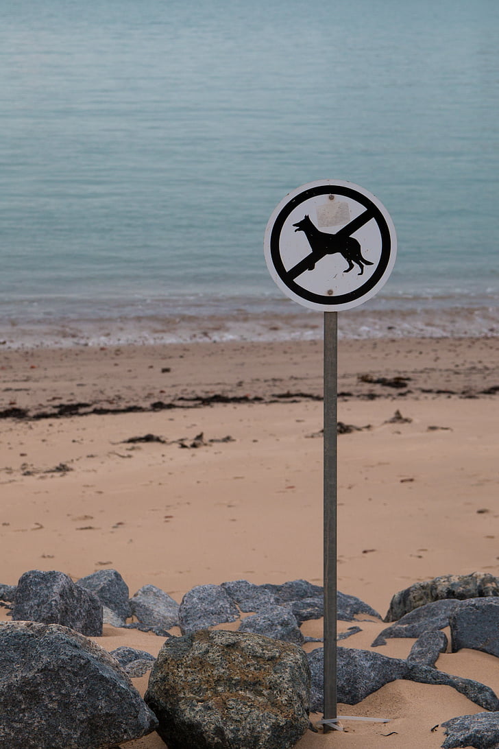 psi zakázáno, pláž, štít, zakazující, psi, varování, Poznámka: