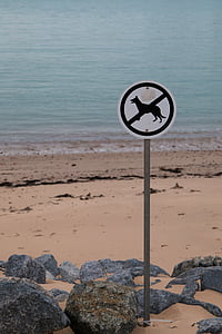Chiens interdits, plage, Bouclier, signaux d’interdiction, chiens, mise en garde, Remarque