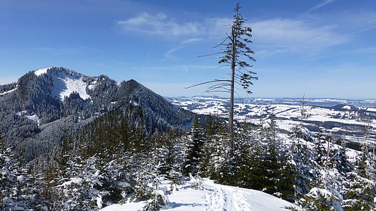 Allgäu, iarna, zăpadă, Panorama, soare, Munţii, pădure