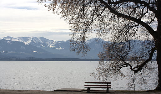Tristesse, Lago de Constanza, Ver, Banco, vista al lago, Alpine, árboles