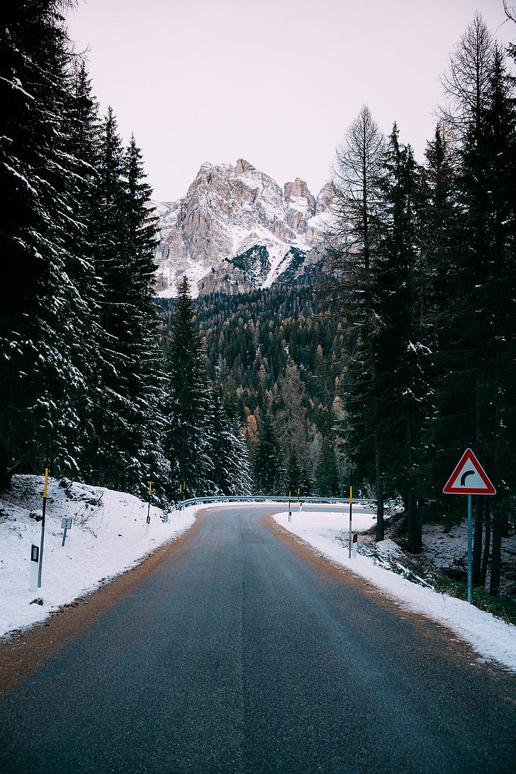 carretera, árboles, Ver, nieve, montaña, signo de, plantas
