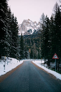Road, puud, Vaade, lumi, mägi, märk, taimed