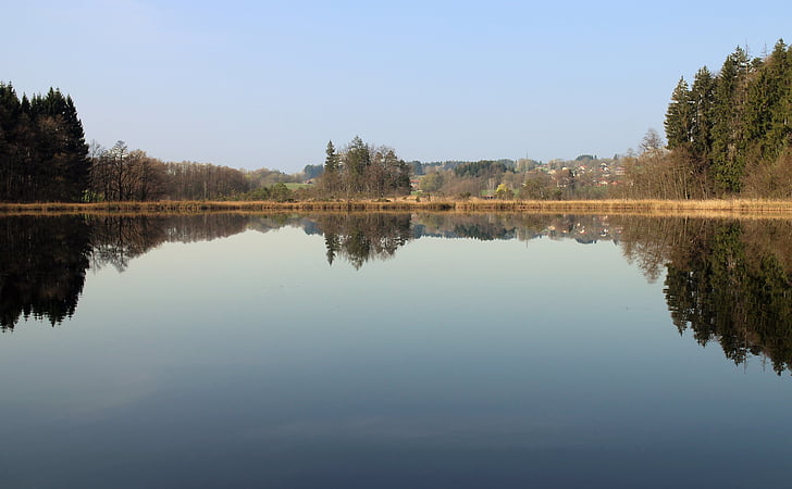 mirroring, reflections, nature, trees, water, surface, rest