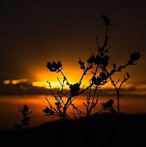 sol, naturaleza, paisaje, amanecer, Brasil, puesta de sol, Horizon