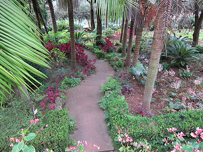 stairs, garden, green, botanical garden, path, stone, plant