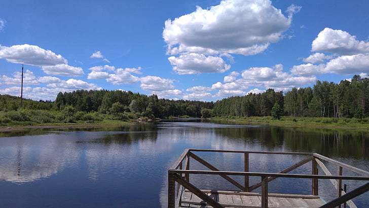 floresta, Lago, natureza, paisagem, Rússia, Verão, no lago